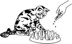 Flamingo Gamelle Anti-glouton Northmate Catch 27x23x8cm Violet -Alimen Tation Chats edc72a656a40ed0f4f4be75cc91ef98d23cf8175636af623d70d9fdbaf48c07a