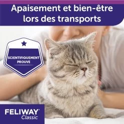 Feliway Spray 20ml -Alimen Tation Chats feliway spray 20ml 4 FR
