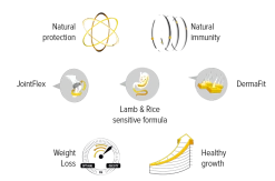 ZYLKENE 75MG (CHATS ET CHIENS DE MOINS DE 10KG) 30 GÉLULES 7 ZYLKENE 75MG (CHATS ET CHIENS DE MOINS DE 10KG) 30 GÉLULES -Alimen Tation Chats ikony en