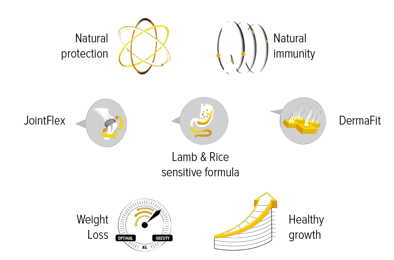 ZYLKENE 75MG (CHATS ET CHIENS DE MOINS DE 10KG) 30 GÉLULES 5 ZYLKENE 75MG (CHATS ET CHIENS DE MOINS DE 10KG) 30 GÉLULES – Image 3