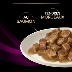 Purina Pro Plan Veterinary Diet UR Chat 10 Sachets De 85g Saumon -Alimen Tation Chats purina veterinary diet ur chat 10x85g saumon 1 FR