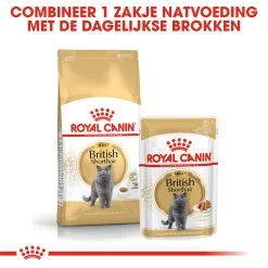 Royal Canin British Shorthair Pour Chat 4kg 11 Royal Canin British Shorthair Pour Chat 4kg -Alimen Tation Chats rc fbn britishsh cv eretailkit 4 nl nl 1