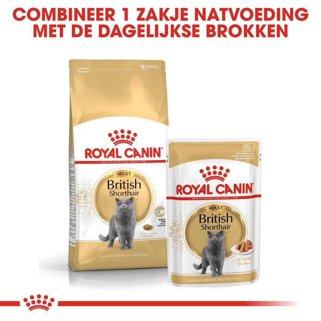 Royal Canin British Shorthair Pour Chat 4kg 5 Royal Canin British Shorthair Pour Chat 4kg – Image 3