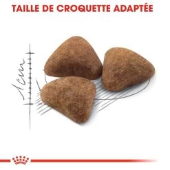 Royal Canin Indoor 27 Adult Pour Chat 10kg -Alimen Tation Chats royal canin indoor indoor 1
