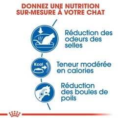 Royal Canin Indoor 27 Adult Pour Chat 10kg -Alimen Tation Chats royal canin indoor indoor 2