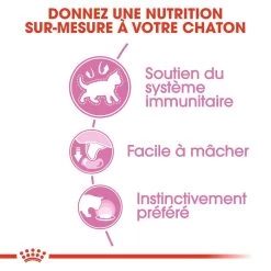 Royal Canin Kitten Sachet - Emincé En Sauce -Alimen Tation Chats royal canin kitten sauce pour chaton royal canin 2