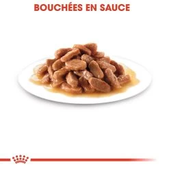 Royal Canin Kitten Sachet - Emincé En Sauce -Alimen Tation Chats royal canin kitten sauce pour chaton royal canin 4