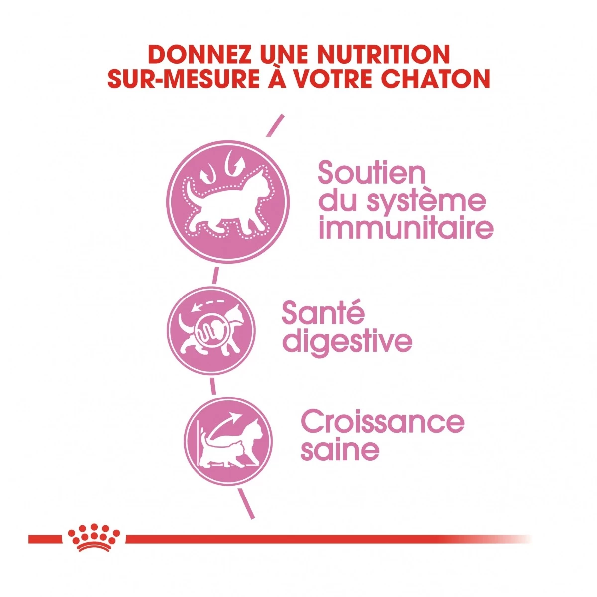 Royal Canin Chaton - 10kg 7 Royal Canin Chaton - 10kg – Image 5