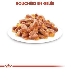 Royal Canin Kitten Sterilised -Alimen Tation Chats royal canin kitten sterilised kitten sterilised lot x g 1 1