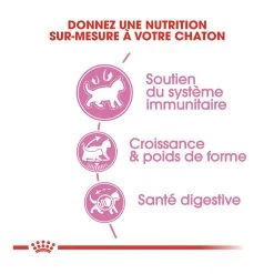 Royal Canin Kitten Sterilised -Alimen Tation Chats royal canin kitten sterilised kitten sterilised 3 1