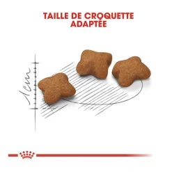 Royal Canin Kitten Sterilised -Alimen Tation Chats royal canin kitten sterilised kitten sterilised 4 1