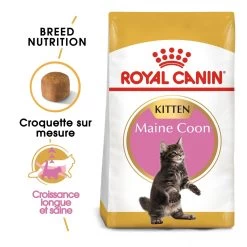 Royal Canin Maine Coon Chaton Pour Chat 10kg -Alimen Tation Chats royal canin maine coon kitten maine coon kitten 1