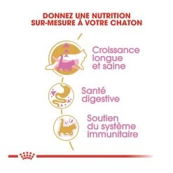 Royal Canin Maine Coon Chaton Pour Chat 10kg -Alimen Tation Chats royal canin maine coon kitten maine coon kitten 2