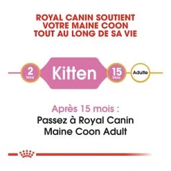 Royal Canin Maine Coon Chaton Pour Chat 10kg -Alimen Tation Chats royal canin maine coon kitten maine coon kitten 4