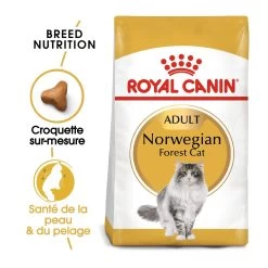 Royal Canin Chat Norvégien Adult 10kg -Alimen Tation Chats royal canin norvegien adult norvegien 1