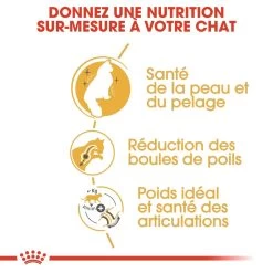 Royal Canin Chat Norvégien Adult 10kg -Alimen Tation Chats royal canin norvegien adult norvegien 2