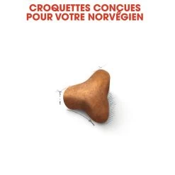 Royal Canin Chat Norvégien Adult 10kg -Alimen Tation Chats royal canin norvegien adult norvegien 3