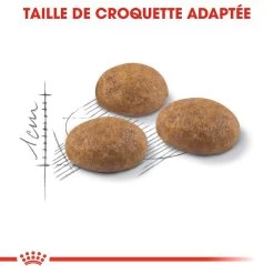 Royal Canin Outdoor Pour Chat 10kg -Alimen Tation Chats royal canin outdoor outdoor 2