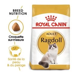 Royal Canin Ragdoll Adult Pour Chat 10kg -Alimen Tation Chats royal canin ragdoll adult ragdoll 1 1