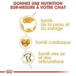 Royal Canin Ragdoll Adult Pour Chat 10kg -Alimen Tation Chats royal canin ragdoll adult ragdoll 2 1