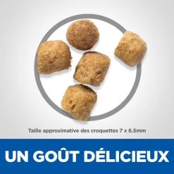Hill's Science Plan Adult Sterilised Croquettes Et Boîtes Pour Chat Stérilisé 23 Hill's Science Plan Adult Sterilised Croquettes Et Boîtes Pour Chat Stérilisé -Alimen Tation Chats science plan adulte chat sterilisC3A9 croquettes poulet 3 FR 1