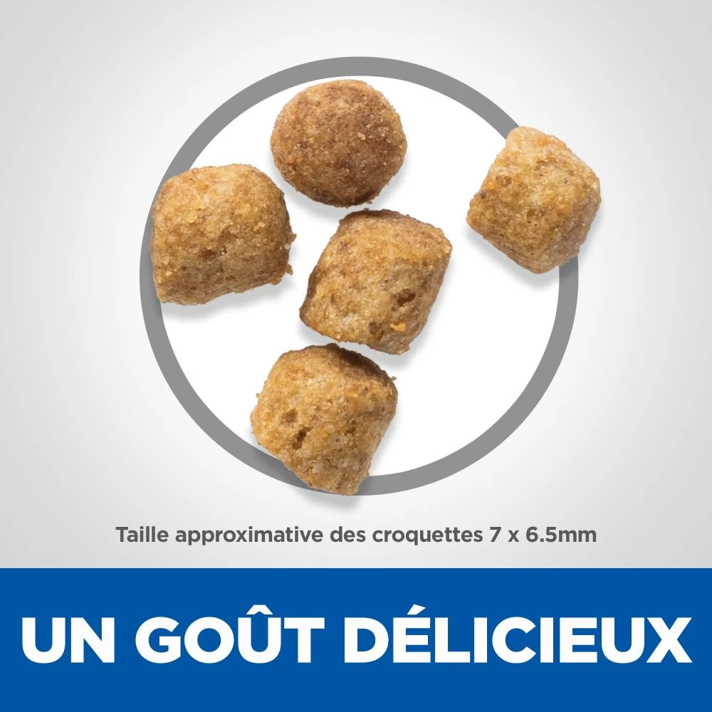Hill's Science Plan Adult Sterilised Croquettes Et Boîtes Pour Chat Stérilisé 8 Hill's Science Plan Adult Sterilised Croquettes Et Boîtes Pour Chat Stérilisé – Image 6