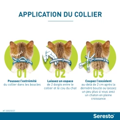 Seresto Collier Chat -Alimen Tation Chats seresto application du collier chez le chat