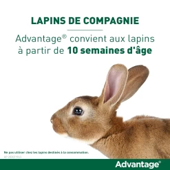 Advantage 80 Chat Et Lapin De Plus De 4 Kg -Alimen Tation Chats vignette lapin