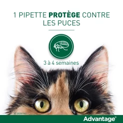Advantage 80 Chat Et Lapin De Plus De 4 Kg -Alimen Tation Chats vignette puces